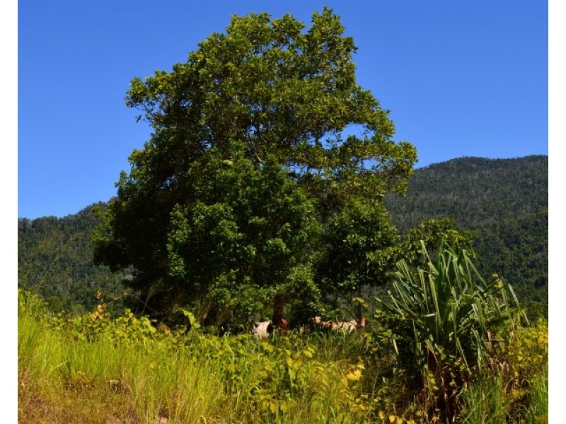 Lot 1 Aerodrome Road, Tully QLD 4854