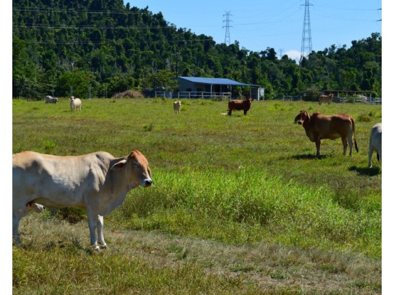 Lot 1 Aerodrome Road, Tully QLD 4854