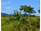 Lot 1 Aerodrome Road, Tully QLD 4854