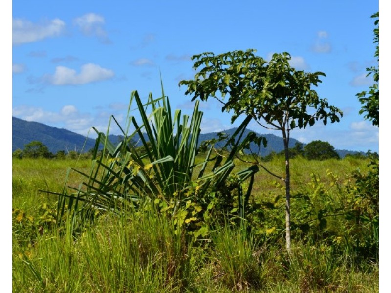 Lot 1 Aerodrome Road, Tully QLD 4854