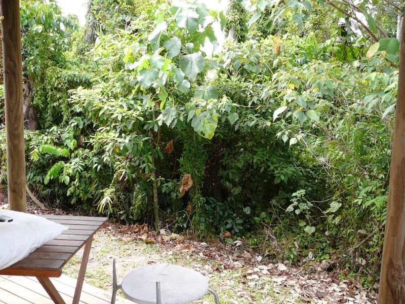 Mission Beach QLD 4852