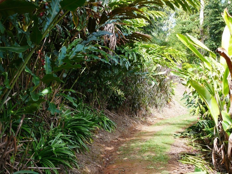 Mission Beach QLD 4852