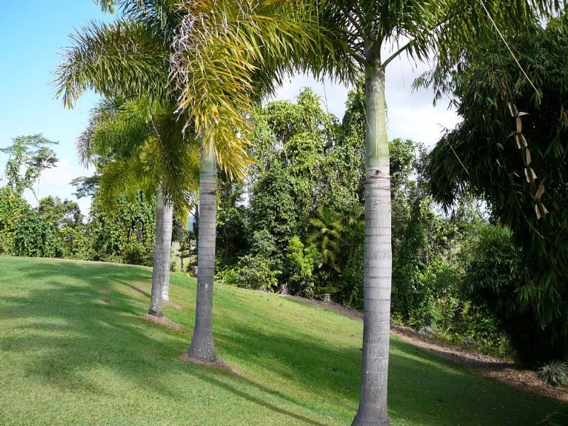 Mission Beach QLD 4852