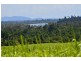 Lot 2 Bingil Bay Road, Bingil Bay QLD 4852