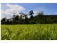 Lot 2 Bingil Bay Road, Bingil Bay QLD 4852