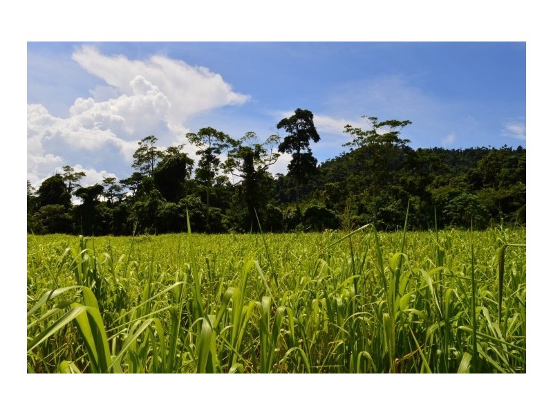 Lot 2 Bingil Bay Road, Bingil Bay QLD 4852