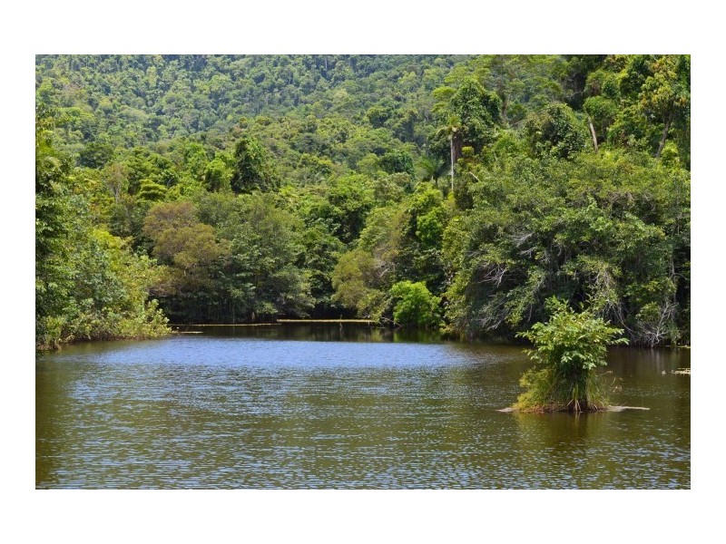 Lot 2 Bingil Bay Road, Bingil Bay QLD 4852