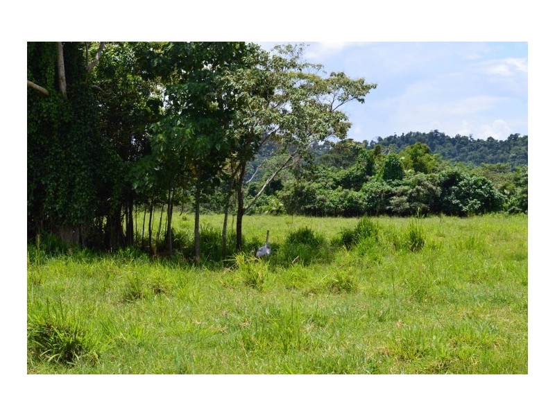 Lot 2 Bingil Bay Road, Bingil Bay QLD 4852