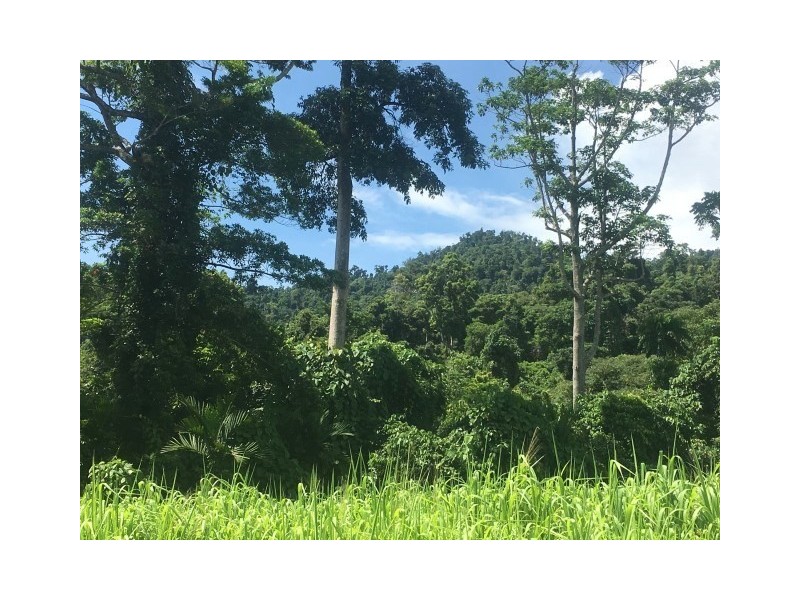 Lot 2 Bingil Bay Road, Bingil Bay QLD 4852