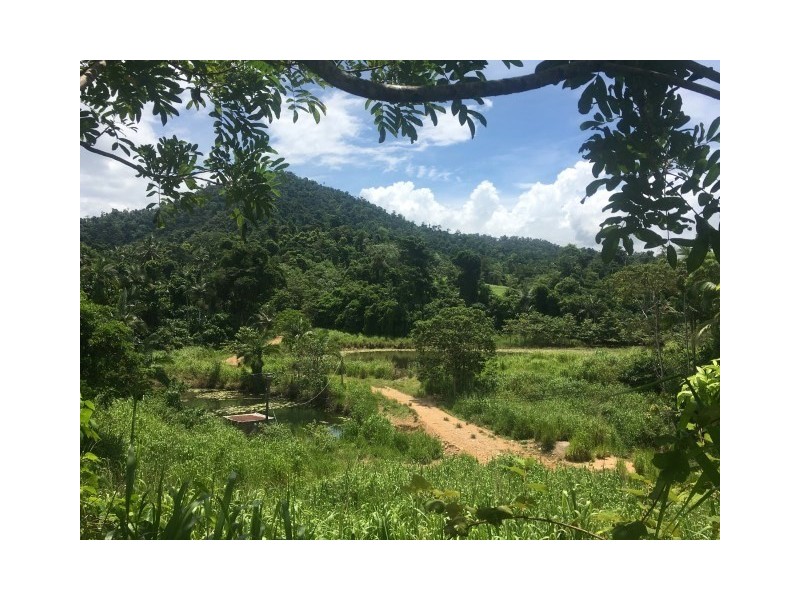 Lot 2 Bingil Bay Road, Bingil Bay QLD 4852