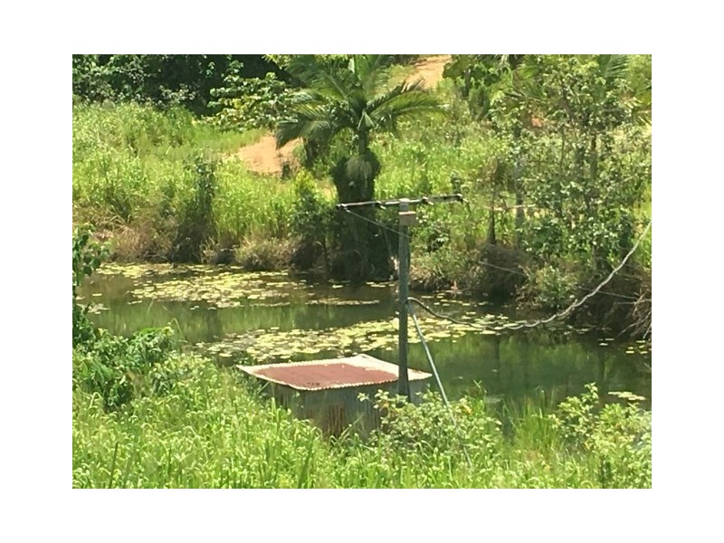 Lot 2 Bingil Bay Road, Bingil Bay QLD 4852