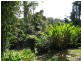 Innisfail QLD 4860