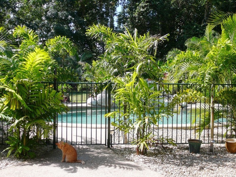 Mission Beach QLD 4852