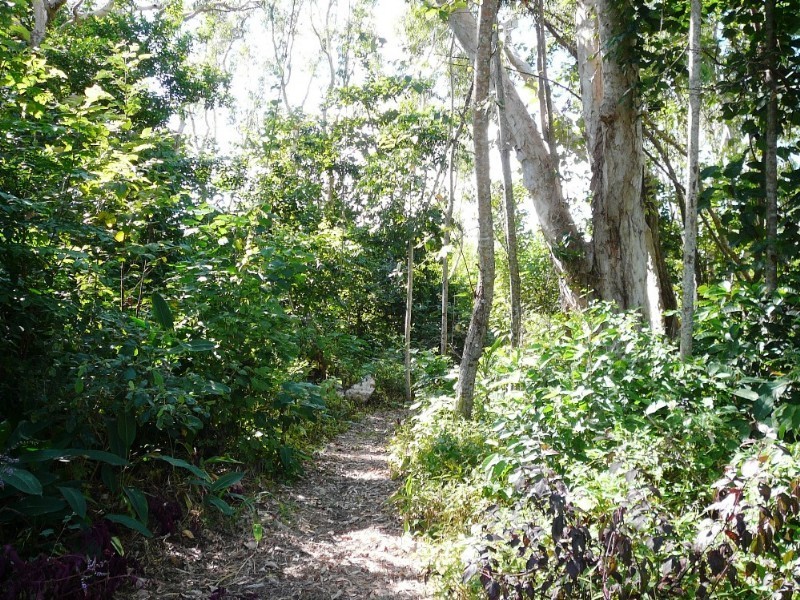 Mission Beach QLD 4852