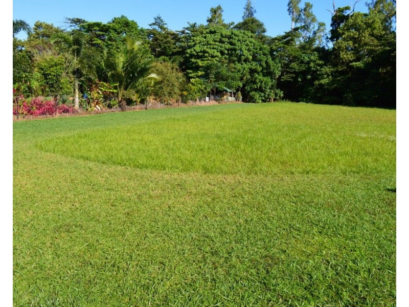 23 Nivosa Court, Mission Beach QLD 4852
