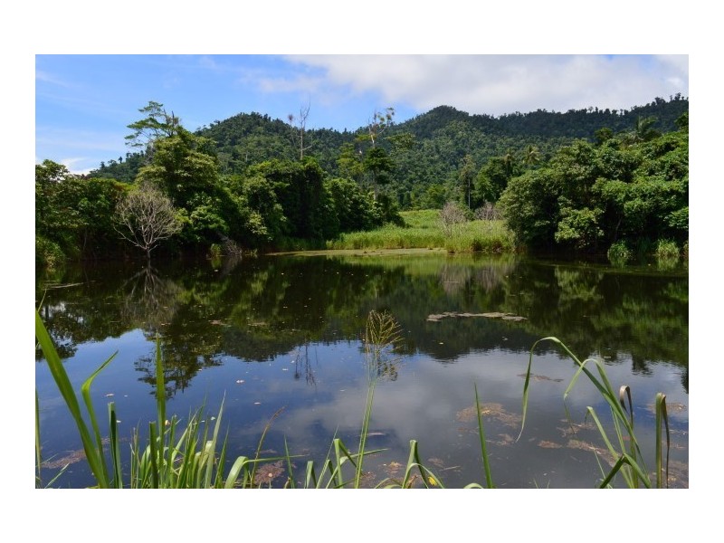 Lot 5 Bingil Bay Road, Bingil Bay QLD 4852