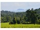 Lot 5 Bingil Bay Road, Bingil Bay QLD 4852