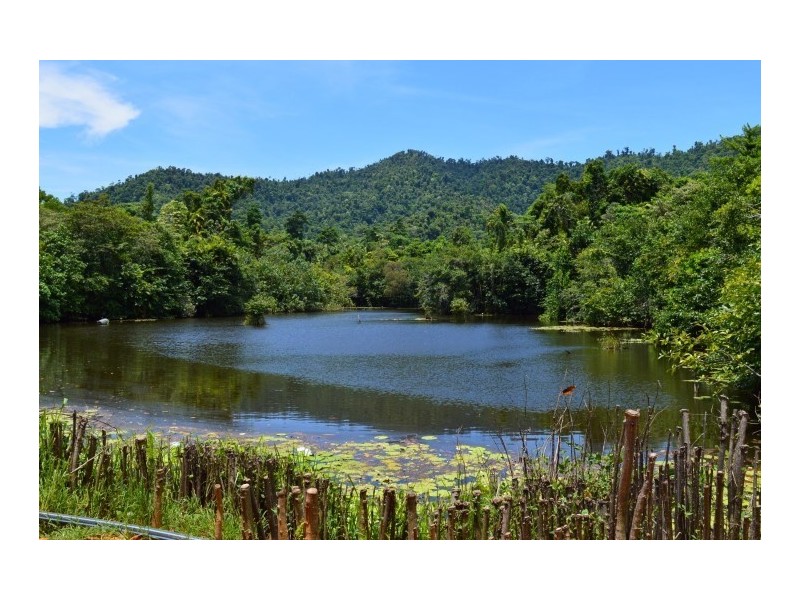 Lot 5 Bingil Bay Road, Bingil Bay QLD 4852