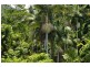 Lot 5 Bingil Bay Road, Bingil Bay QLD 4852
