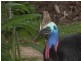 Lot 5 Bingil Bay Road, Bingil Bay QLD 4852