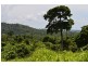 Lot 5 Bingil Bay Road, Bingil Bay QLD 4852