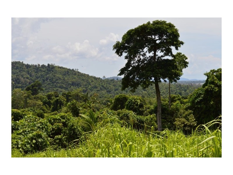 Lot 5 Bingil Bay Road, Bingil Bay QLD 4852