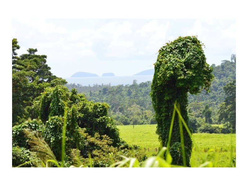 Lot 5 Bingil Bay Road, Bingil Bay QLD 4852