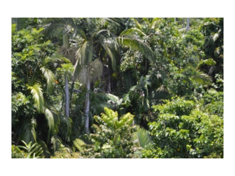 Lot 5 Bingil Bay Road, Bingil Bay QLD 4852