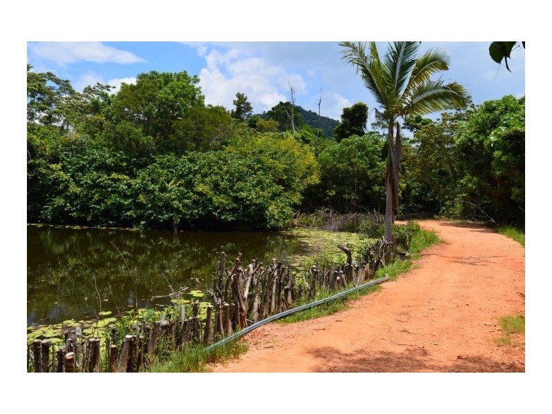 Lot 5 Bingil Bay Road, Bingil Bay QLD 4852