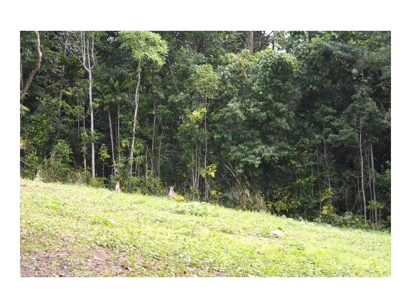 Lot 1 Pacific View Drive, Wongaling Beach QLD 4852