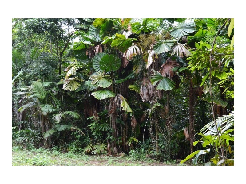 Lot 1 Pacific View Drive, Wongaling Beach QLD 4852