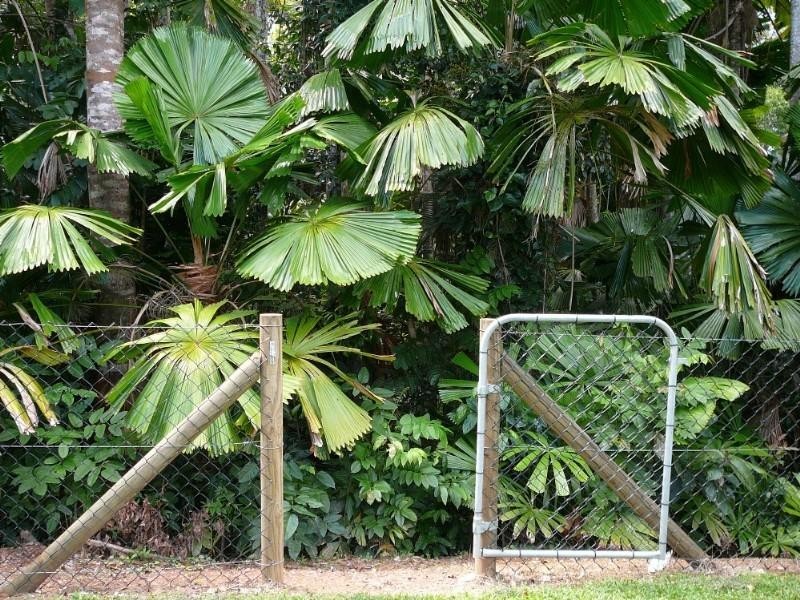 Mission Beach QLD 4852