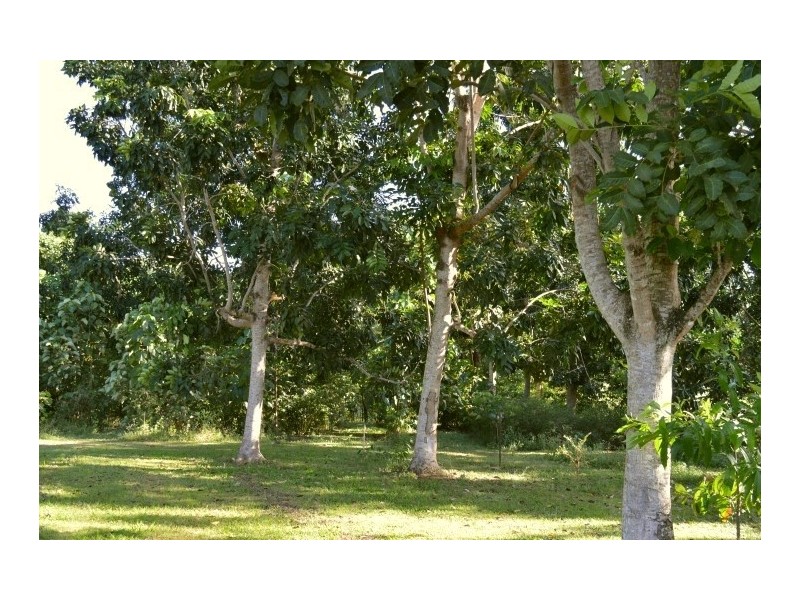 Lot 10 Boyett Road, Mission Beach QLD 4852