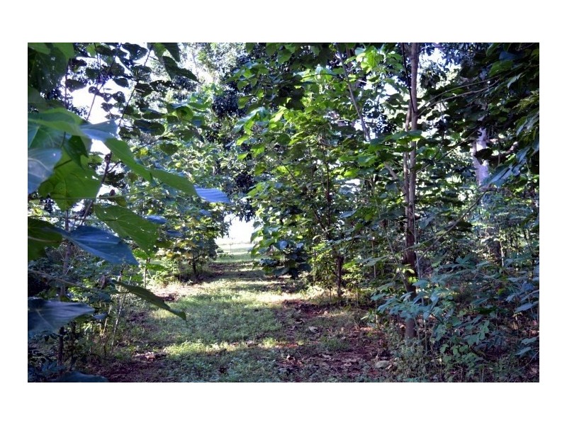 Lot 10 Boyett Road, Mission Beach QLD 4852