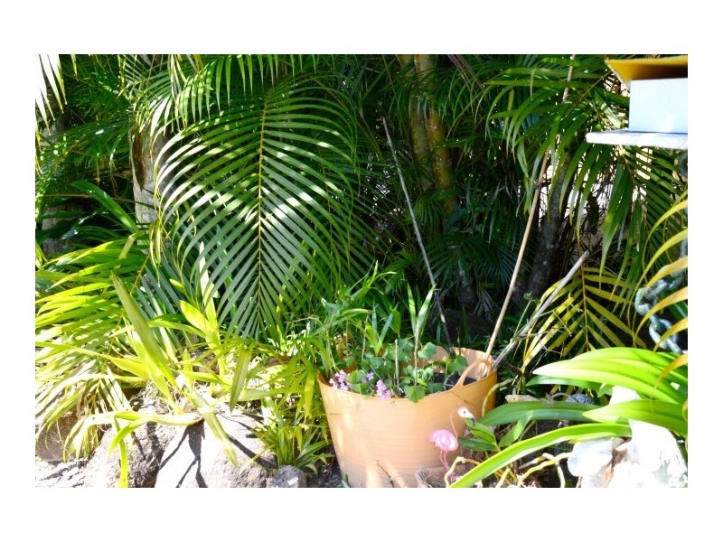 50B Conch Street, Mission Beach QLD 4852