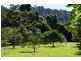 1231 Old Tully Road, El Arish QLD 4855