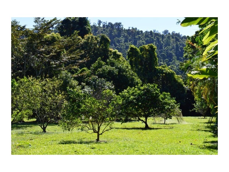 1231 Old Tully Road, El Arish QLD 4855