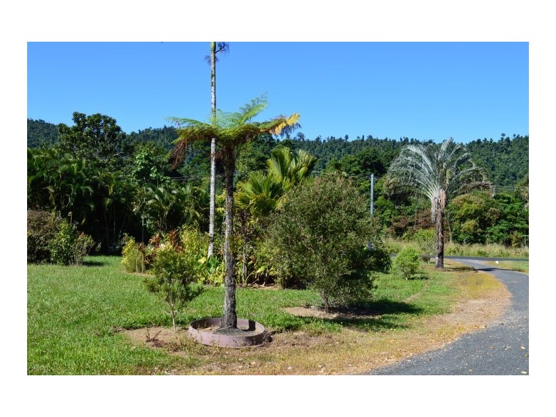 1231 Old Tully Road, El Arish QLD 4855
