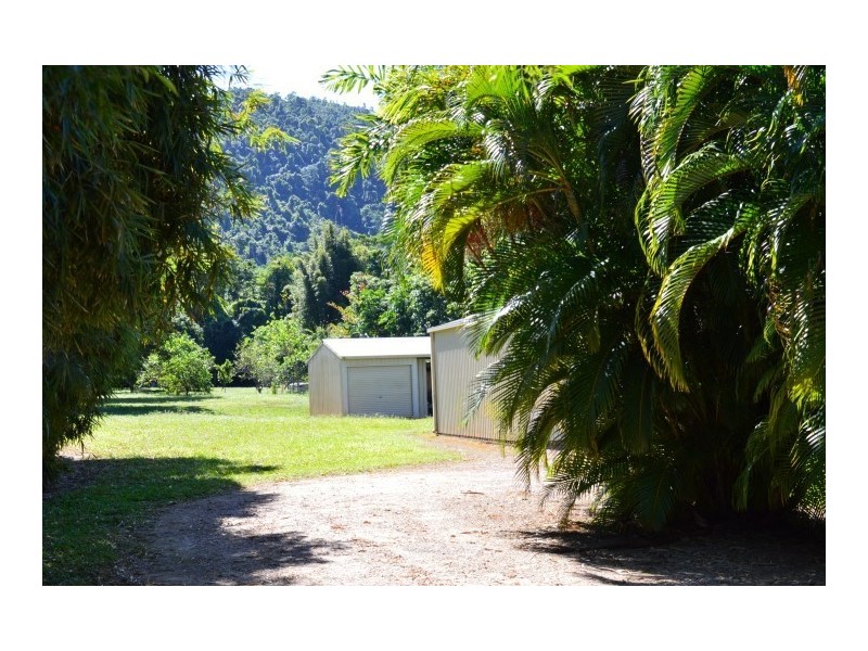 1231 Old Tully Road, El Arish QLD 4855