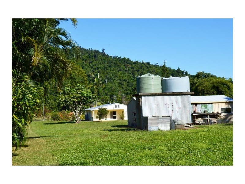 1231 Old Tully Road, El Arish QLD 4855
