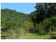 1231 Old Tully Road, El Arish QLD 4855