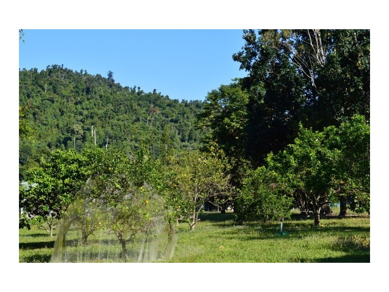 1231 Old Tully Road, El Arish QLD 4855