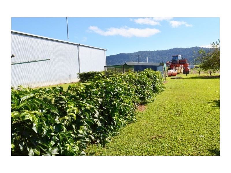 2 Cuthill Road, Walter Lever Estate QLD 4856