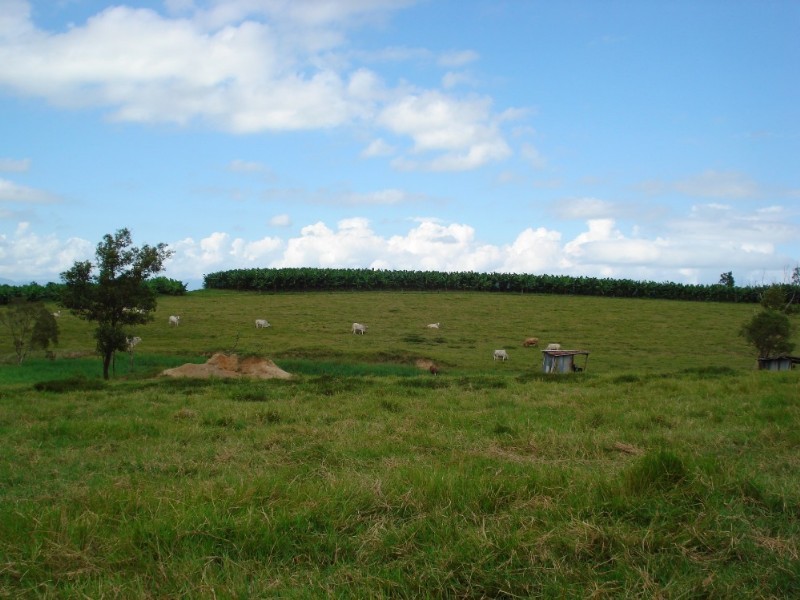 Tully QLD 4854