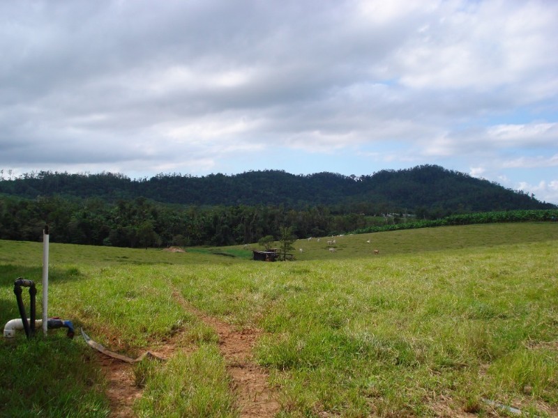 Tully QLD 4854