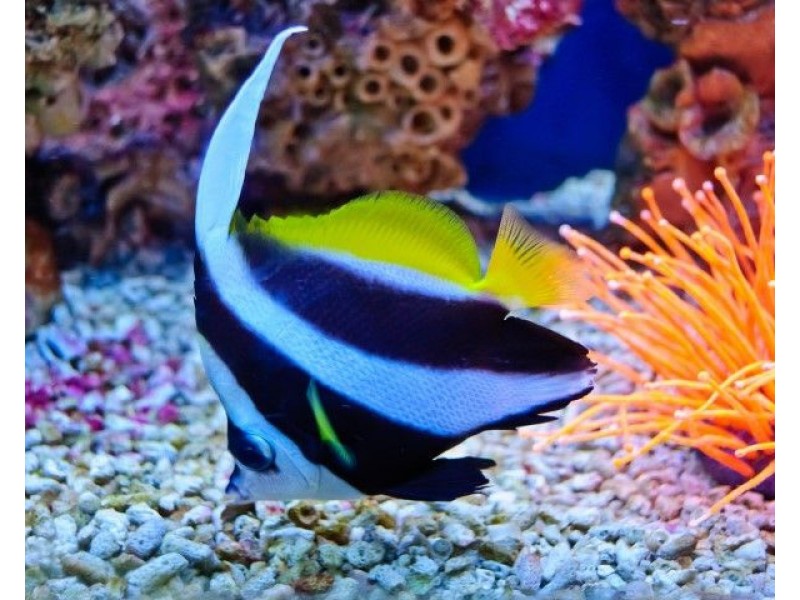 89 Reid Road, Wongaling Beach QLD 4852