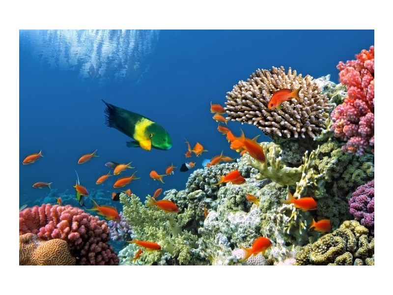 46 Pacific View Drive, Wongaling Beach QLD 4852