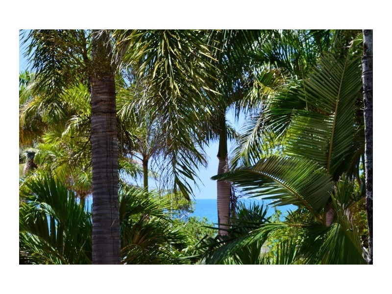 1/21 Conch Street, Mission Beach QLD 4852