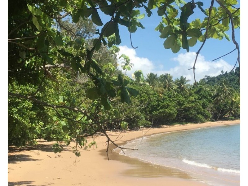 1 Webb Court, Bingil Bay QLD 4852