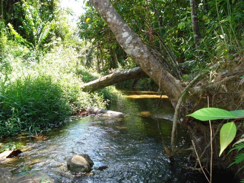 Mission Beach QLD 4852